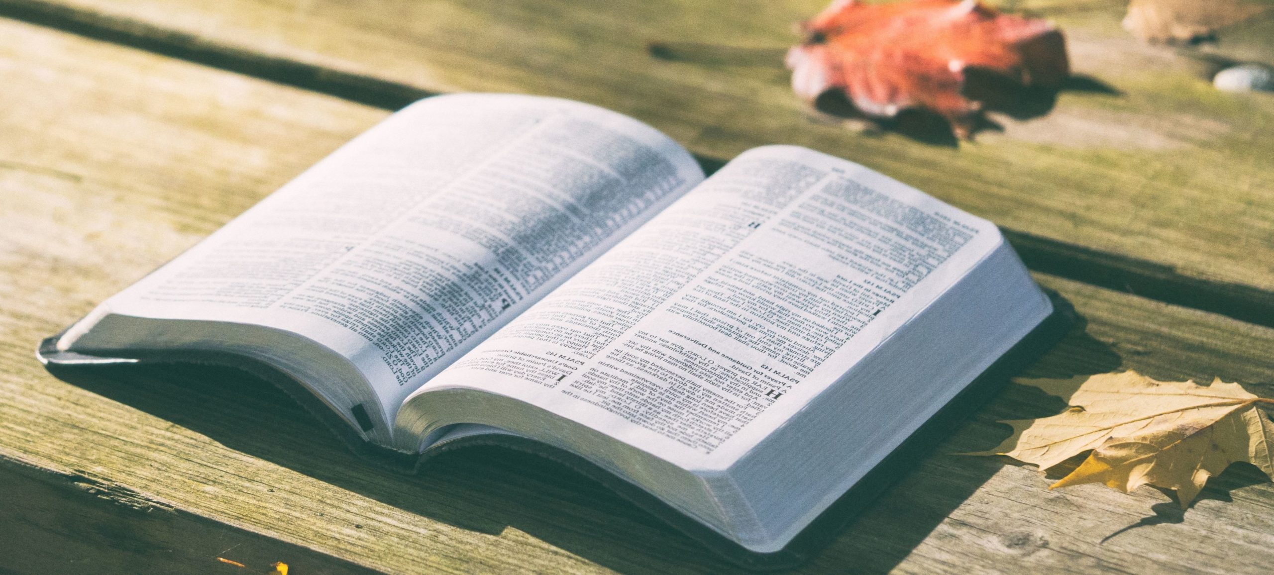 ‘Vreugde van het Evangelie’ leren ervaren